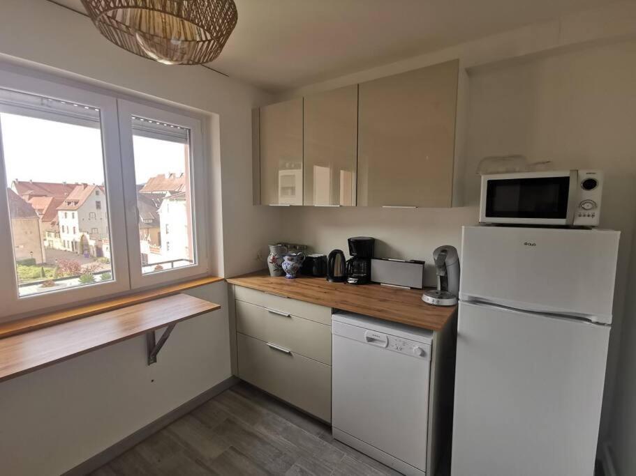 Logement Colmar Centre Avec Parking Ngoại thất bức ảnh